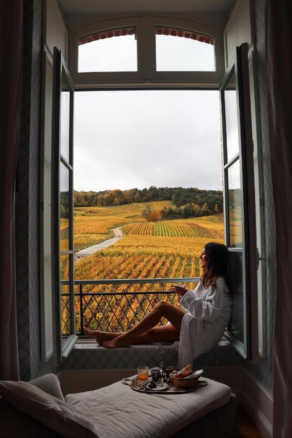 Chateau De Sacy Ngoại thất bức ảnh