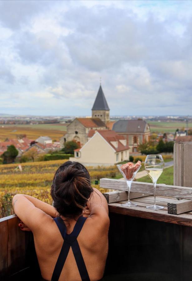 Chateau De Sacy Ngoại thất bức ảnh