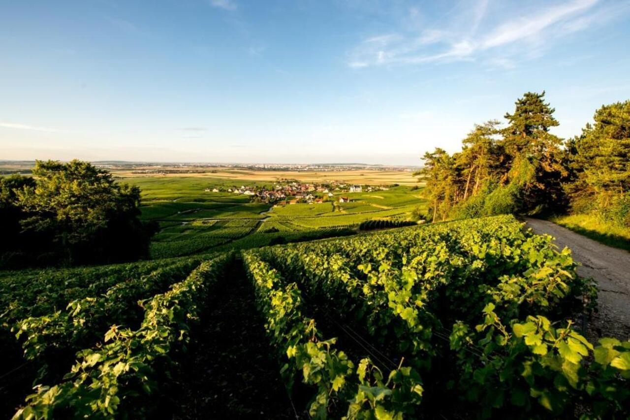Chateau De Sacy Ngoại thất bức ảnh